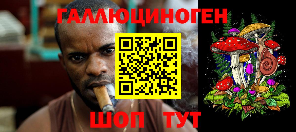 Псилоцибиновые грибы прущие грибы Калининград